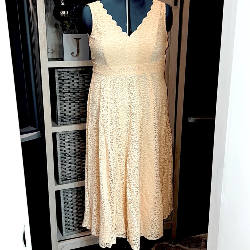 Lace Scalloped V-Neck Dress, 14W